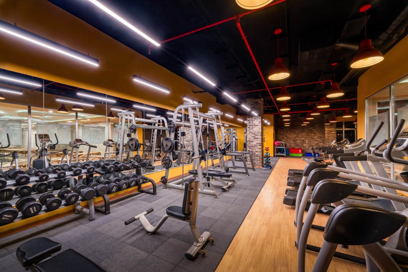 Fitness